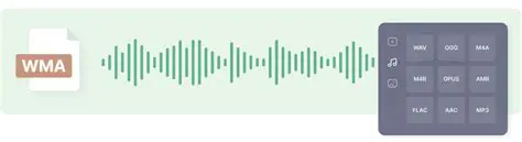 Key Features of the A1 WMV to WMA Converter