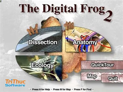 Key Features of The Digital Frog