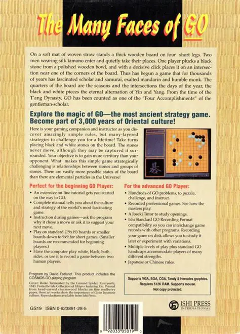 Key Features of The Many Faces of Go