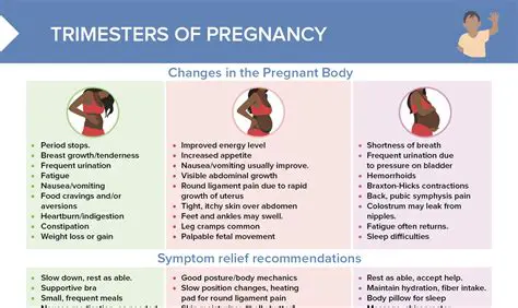 Key Features of the Pregnancy Diary