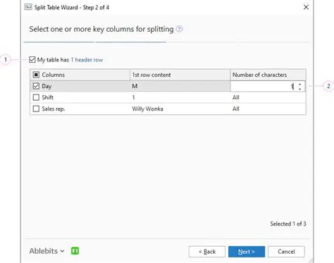 Key Features of the Split Table Wizard