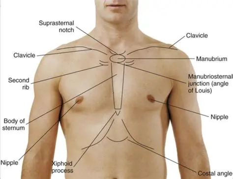 Key Features of the Super Notch Man