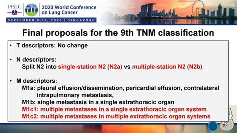Key Features of the TNM DSO