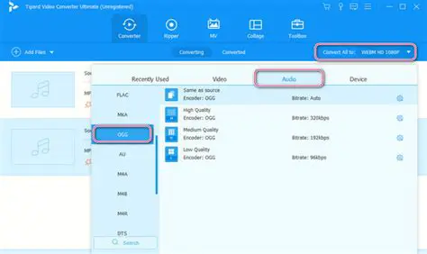 Key Features of Tipard OGG MP3 Converter