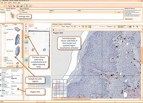 Key Features of TissueFAXS Viewer