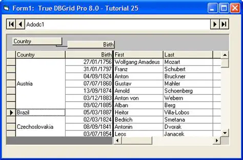 Key Features of True DBGrid Pro