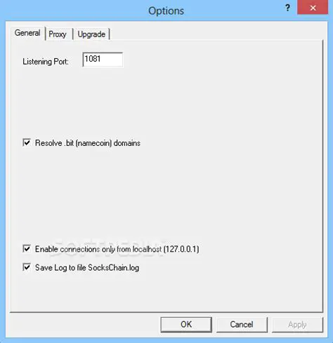 Key Features of Ufasoft SocksChain