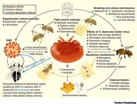 Key Features of Varroa Pop