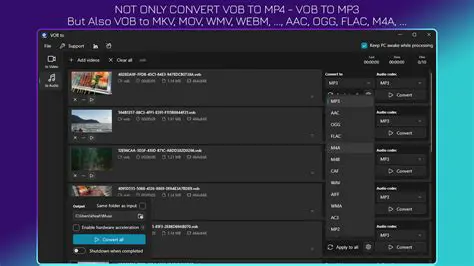 Key Features of VOB MP3 Converter