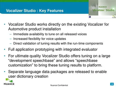 Key Features of Vocalizer Lekha