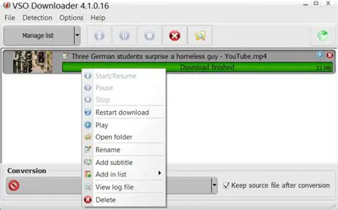 Key Features of VSO Downloader