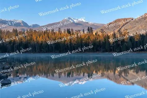 Key Features of Watermark Photos