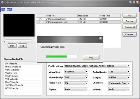 Key Features of WMV to AVI MPEG DVD WMV Converter