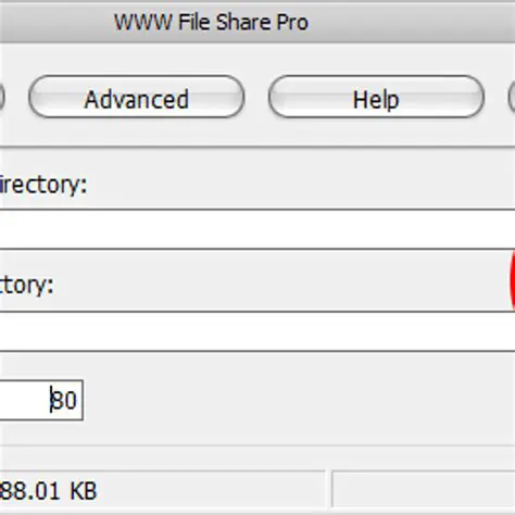Key Features of WWW File Share Pro