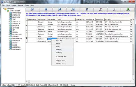 Key Features of xBaseView DBF Viewer