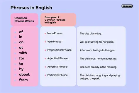 Key Phrases and Vocabulary