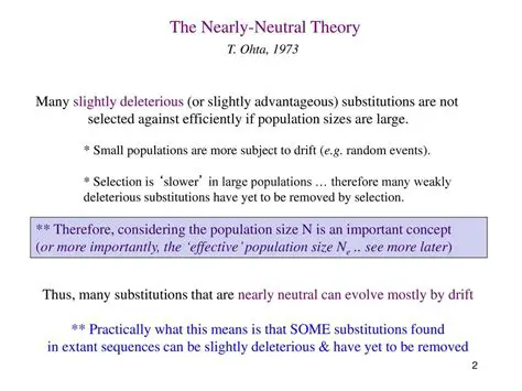 Key Principles of the Neutral Theory Model