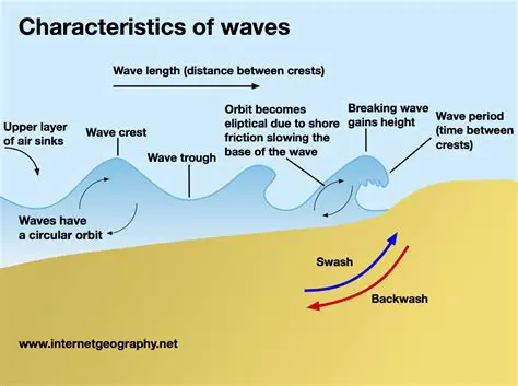 Key Terms in Wave Dynamics