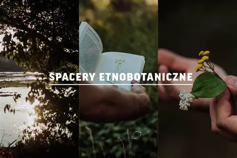 Krus: Odkryj Tajemnice Legendarnego Oręża i Jego Rola w Historii