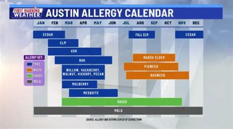 KXAN Austin Investigates: Decoding Allergies in Austin
