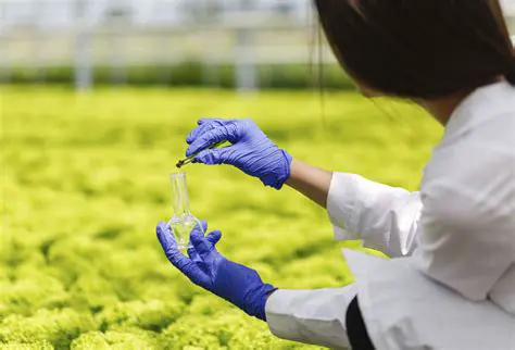 La calidad de los alimentos