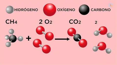 La cantidad de materia no cambia