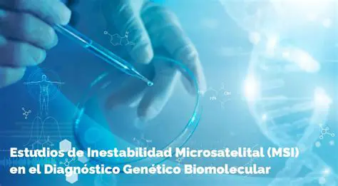 La Capa de la Inestabilidad