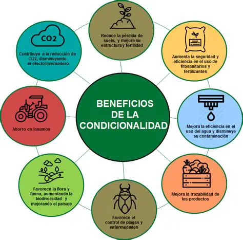 La Condicionalidad de la Suma