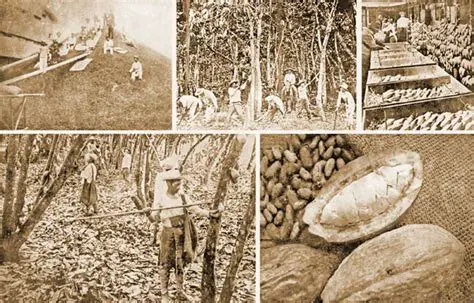 La Consumo de Cacao en el Siglo 18