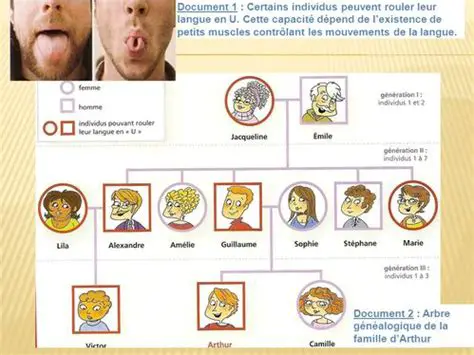 La distinction entre individu et personne