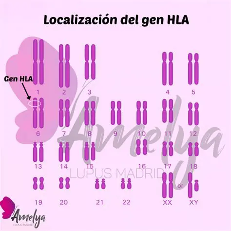 La Diversidad de Alelos en el Sistema HLA
