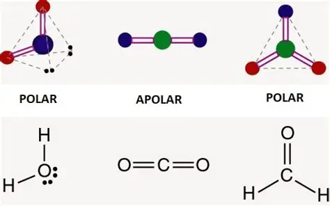 La estructura molecular de las sustancias no polares