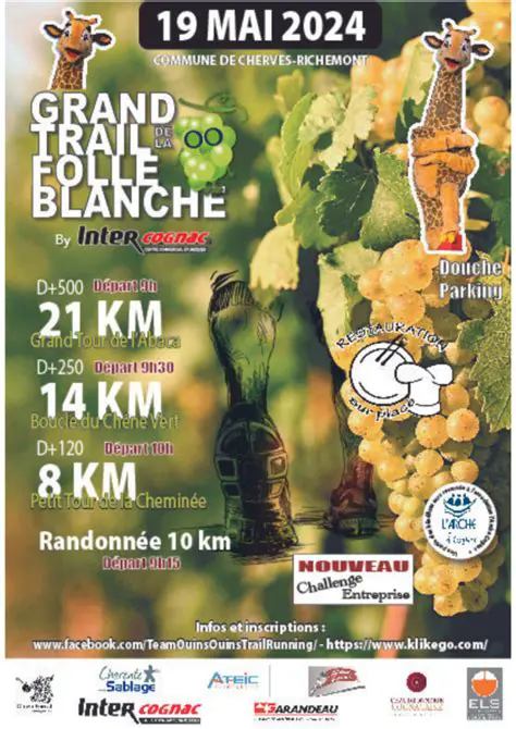 La Folle Amanda : Le Secret d'une Floraison Exubérante et Continue