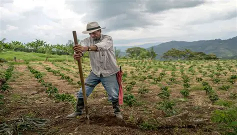 La Importancia de la Agricultura en el Sector Primario