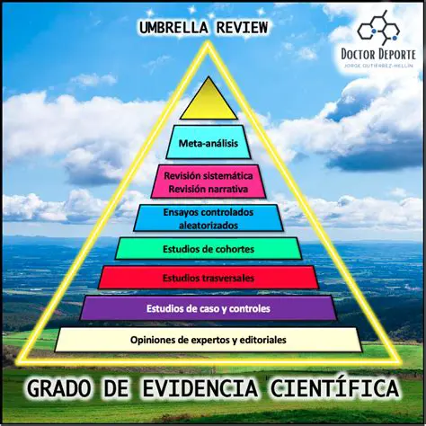 La importancia de la evidencia