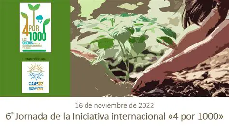 La importancia de la iniciativa internacional