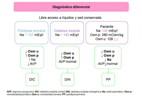 La importancia de la osmoralidad en la salud