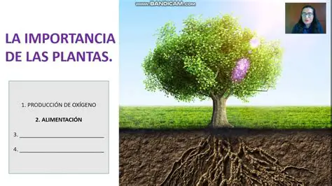 La Importancia de las Plantas en Nuestra Vida y en la Historia de la Humanidad