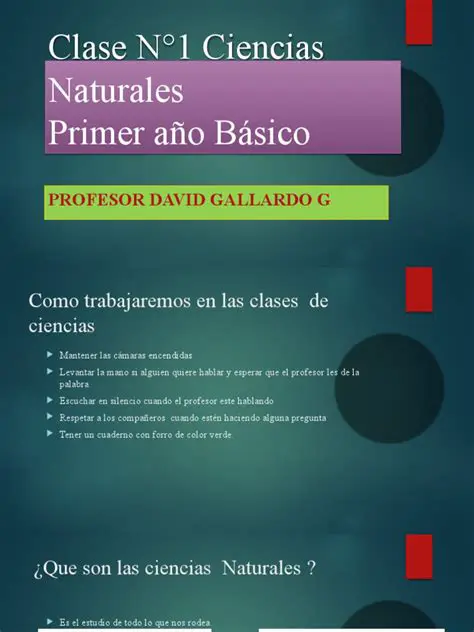 La Importancia de Respetar el Lugar Donde Vivimos