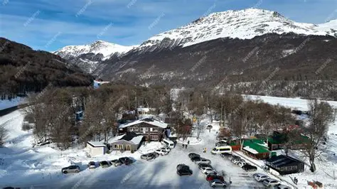 La importancia del canto en las cotorras