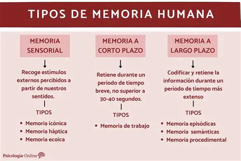 La memoria y la experiencia