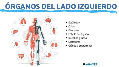 La parte superior izquierda