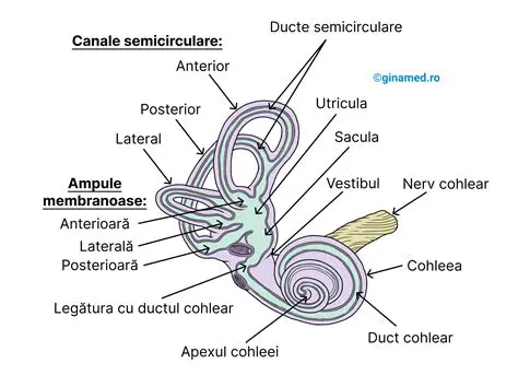 Labirintul ca Dificultate a Luptei