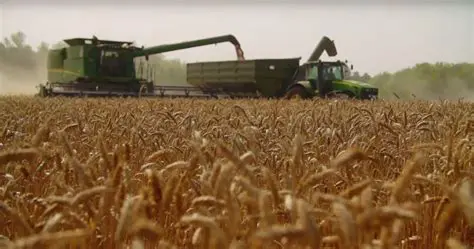 Lack of Cultivation Technology