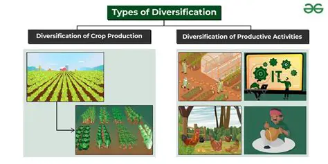 Lack of diversification of regional income sources