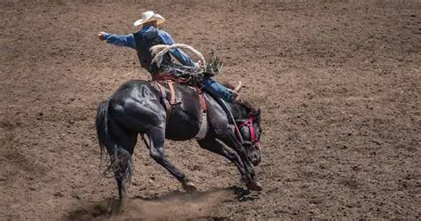 The Latest Cowboy News: Ranging from Rodeos to Ranch Life and Beyond