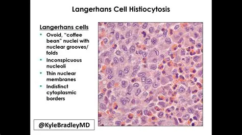 Lay Cells Over a Black Background