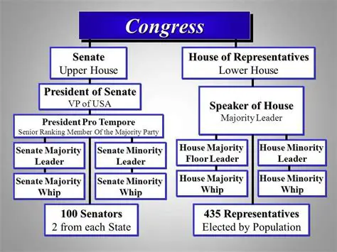 Leadership Roles in the House of Representatives