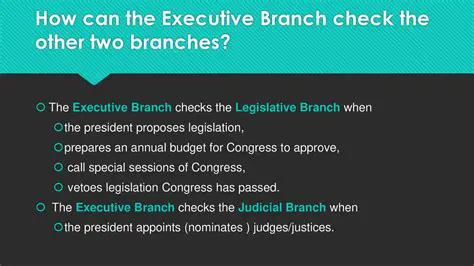 Legislative Branch Checks the Executive Branch