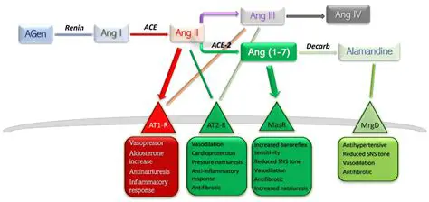 Length of Time Serving as Extension Agents